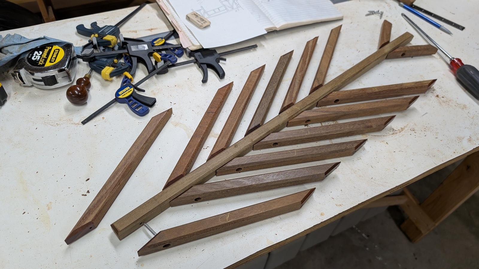 Front Entry Trellis (July 2025)