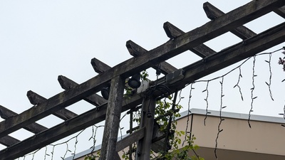 Thumbs/front-trellis-inspiration-delft-01.jpg