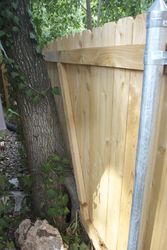 ../images/deck-2013/fence-tree-1.188x250.jpg