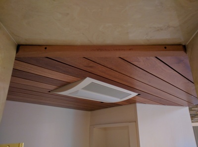 Bathroom Alcove Ceiling (March 2018)