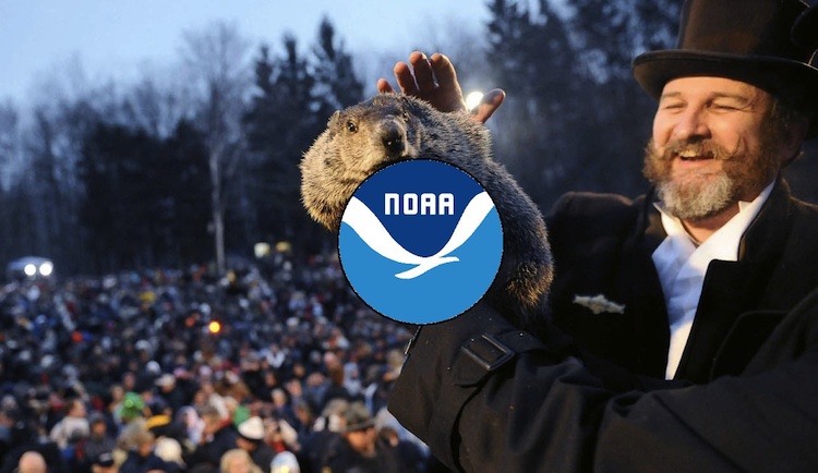 NOAA vs Punxsutawney Phil